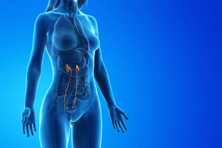 Bladder Dysfunction